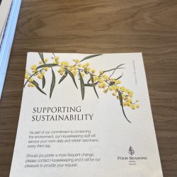 Q Travel Blog